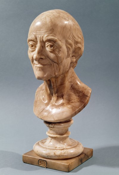 Bust of Voltaire (1694-1778) by Francois Marie Rosset